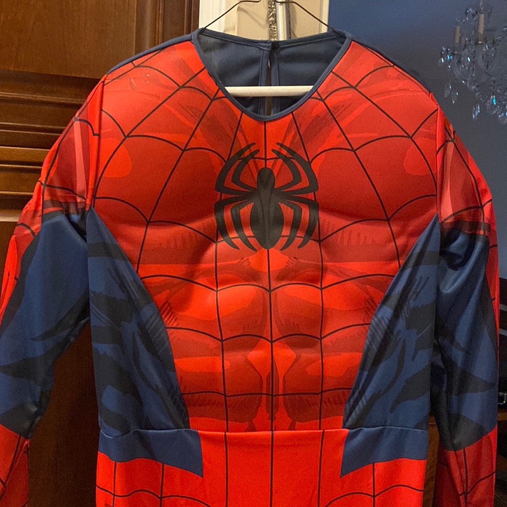 Adult marvel muscle Spider-Man costume. Included mask and gloves. Standard